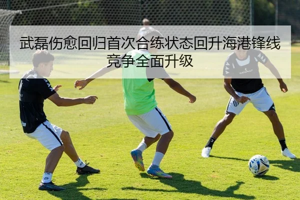 武磊伤愈回归首次合练状态回升海港锋线竞争全面升级