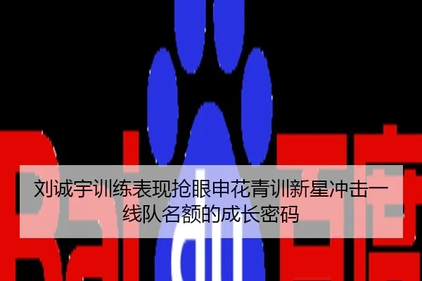 刘诚宇训练表现抢眼申花青训新星冲击一线队名额的成长密码