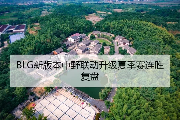 BLG新版本中野联动升级夏季赛连胜复盘